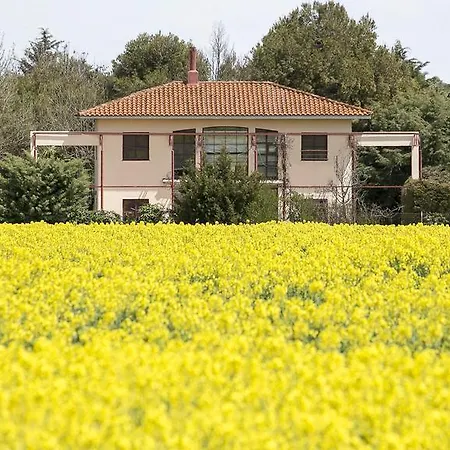 Casa La *